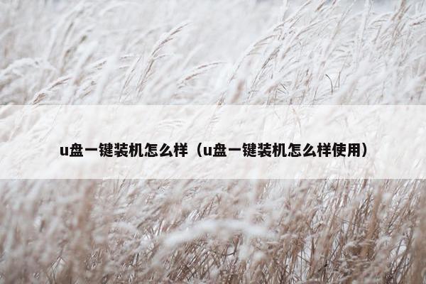 u盘一键装机怎么样（u盘一键装机怎么样使用）