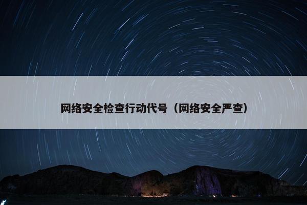 网络安全检查行动代号（网络安全严查）