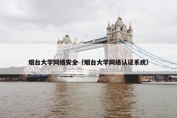 烟台大学网络安全（烟台大学网络认证系统）