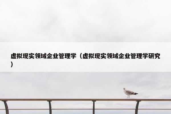 虚拟现实领域企业管理学（虚拟现实领域企业管理学研究）