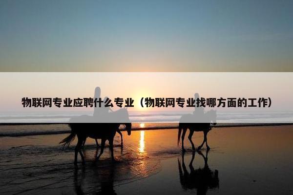 物联网专业应聘什么专业（物联网专业找哪方面的工作）