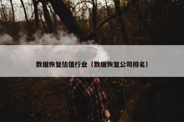 数据恢复估值行业（数据恢复公司排名）