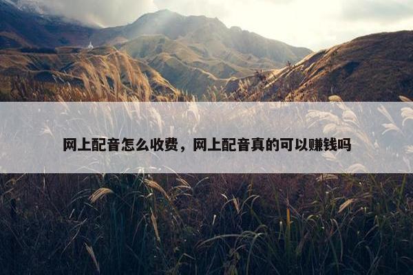 网上配音怎么收费，网上配音真的可以赚钱吗