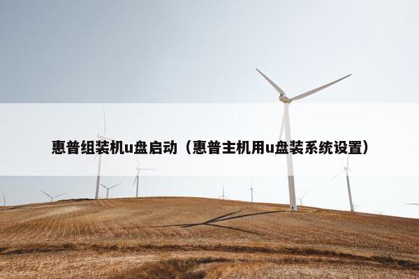 惠普组装机u盘启动（惠普主机用u盘装系统设置）