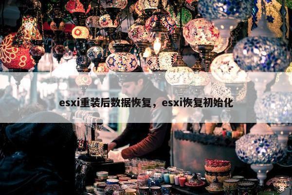 esxi重装后数据恢复，esxi恢复初始化