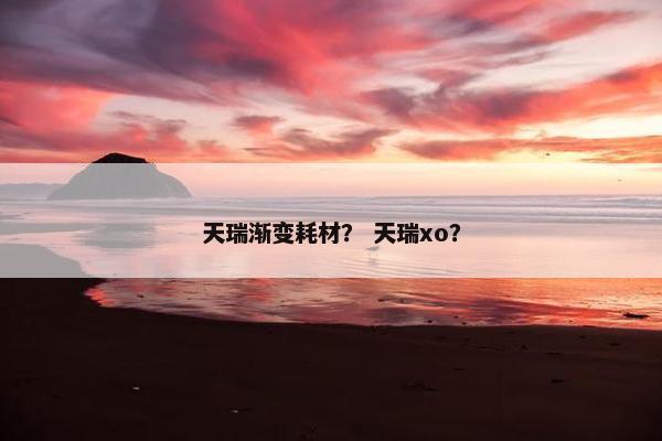 天瑞渐变耗材？ 天瑞xo？