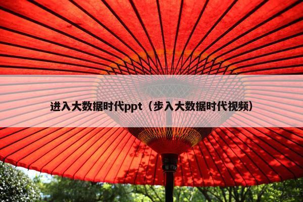 进入大数据时代ppt（步入大数据时代视频）