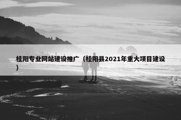 桂阳专业网站建设推广（桂阳县2021年重大项目建设）