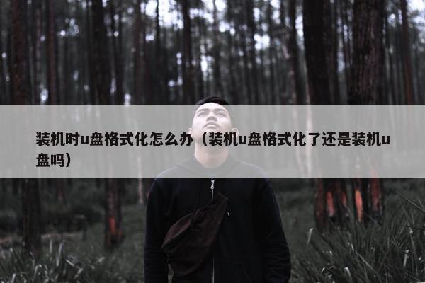装机时u盘格式化怎么办(装机u盘格式化了还是装机u盘吗) 装机时u盘格式化怎么办(装机u盘格式化了还是装机u盘吗)