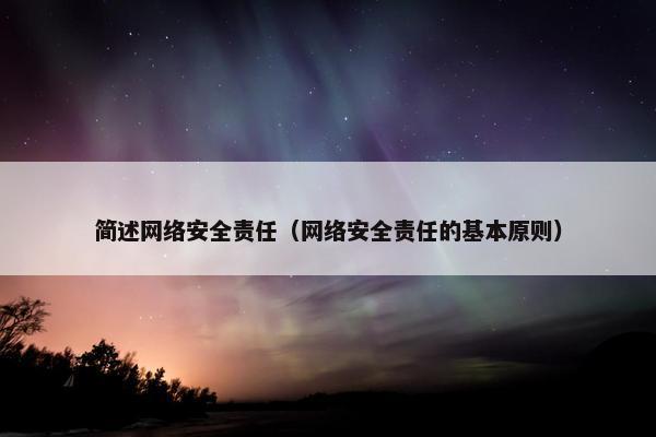 简述网络安全责任(网络安全责任的基本原则) 简述网络安全责任(网络安全责任的基本原则)