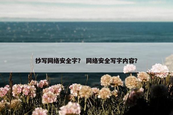 抄写网络安全字？ 网络安全写字内容？
