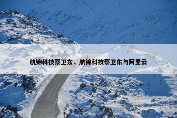 航锦科技蔡卫东,航锦科技蔡卫东与阿里云 航锦科技蔡卫东,航锦科技蔡卫东与阿里云