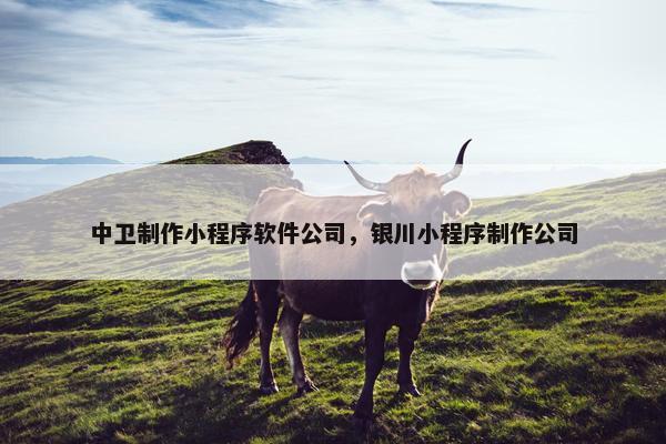 中卫制作小程序软件公司,银川小程序制作公司 中卫制作小程序软件公司,银川小程序制作公司