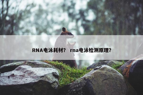 RNA电泳耗材? rna电泳检测原理? RNA电泳耗材? rna电泳检测原理?