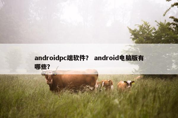 androidpc端软件？ android电脑版有哪些？