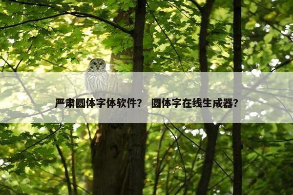 严肃圆体字体软件? 圆体字在线生成器? 严肃圆体字体软件? 圆体字在线生成器?