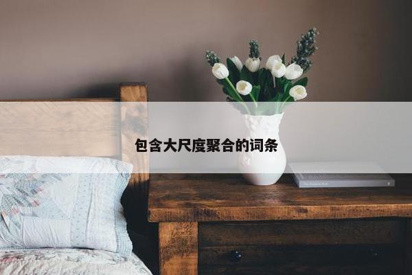 包含大尺度聚合的词条 包含大尺度聚合的词条