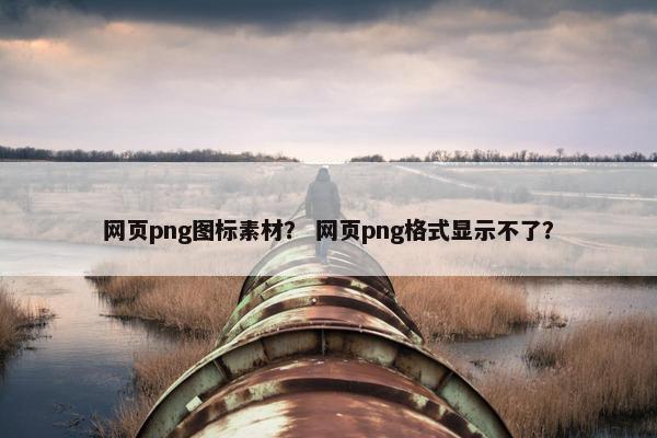 网页png图标素材? 网页png格式显示不了? 网页png图标素材? 网页png格式显示不了?