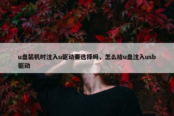 u盘装机时注入u驱动要选择吗,怎么给u盘注入usb驱动 u盘装机时注入u驱动要选择吗,怎么给u盘注入usb驱动