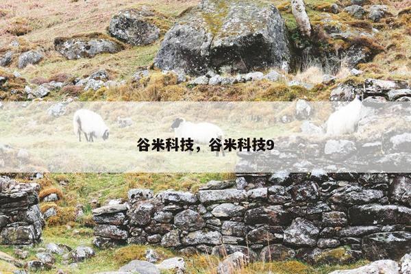 谷米科技，谷米科技9
