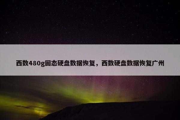 西数480g固态硬盘数据恢复，西数硬盘数据恢复广州