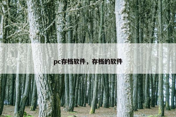 pc存档软件,存档的软件 pc存档软件,存档的软件