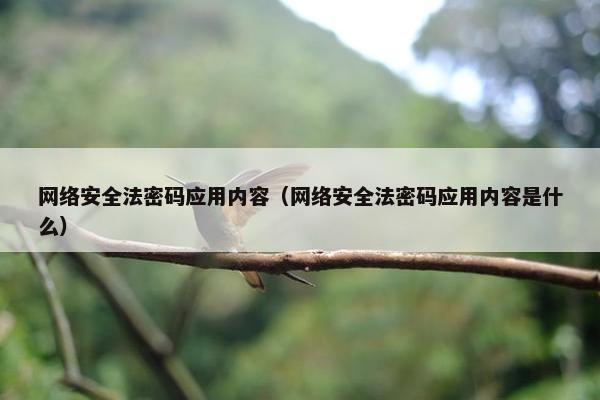 网络安全法密码应用内容（网络安全法密码应用内容是什么）
