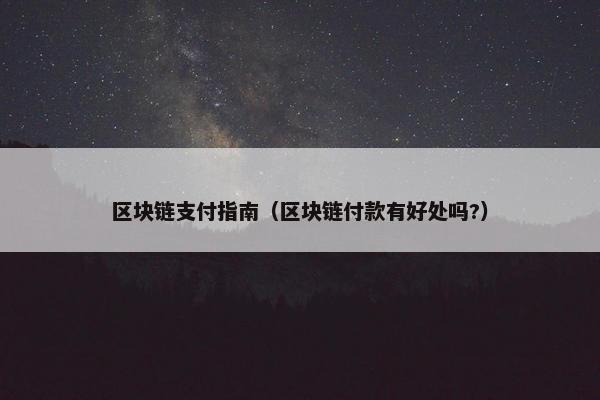 区块链支付指南（区块链付款有好处吗?）