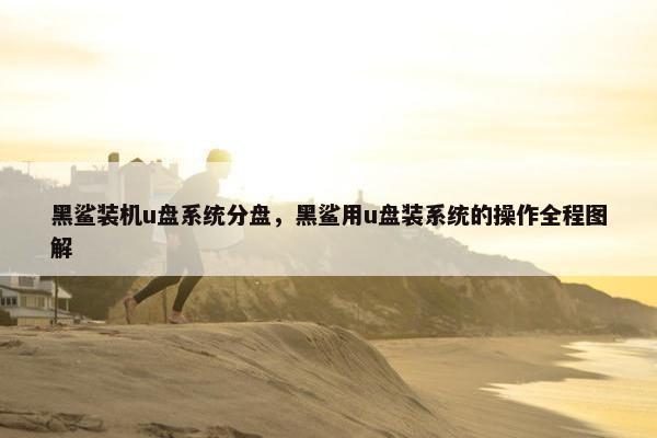 黑鲨装机u盘系统分盘，黑鲨用u盘装系统的操作全程图解