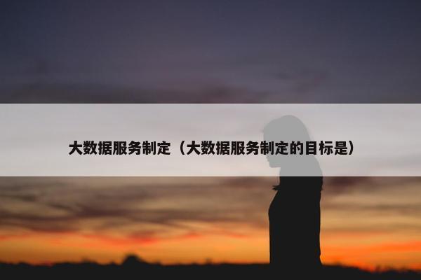 大数据服务制定（大数据服务制定的目标是）