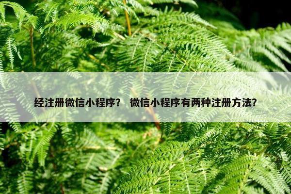 经注册微信小程序? 微信小程序有两种注册方法? 经注册微信小程序? 微信小程序有两种注册方法?