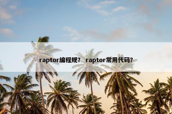 raptor编程规？ raptor常用代码？