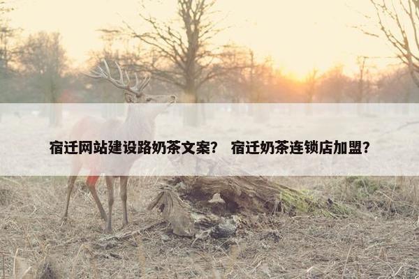 宿迁网站建设路奶茶文案？ 宿迁奶茶连锁店加盟？