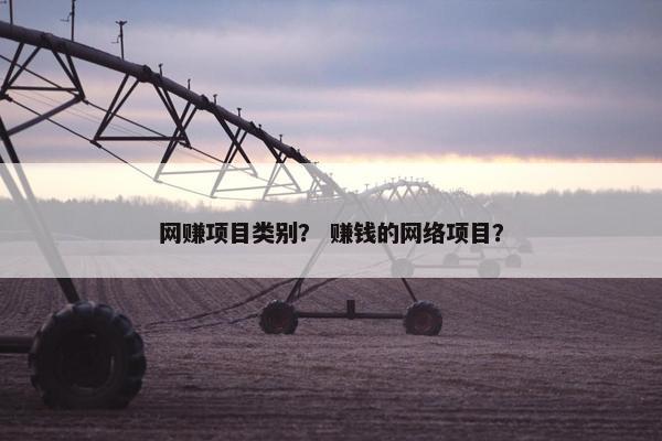 网赚项目类别？ 赚钱的网络项目？