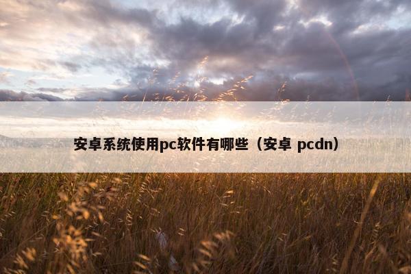 安卓系统使用pc软件有哪些（安卓 pcdn）
