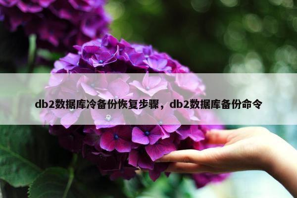 db2数据库冷备份恢复步骤,db2数据库备份命令 db2数据库冷备份恢复步骤,db2数据库备份命令