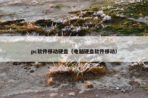 pc软件移动硬盘(电脑硬盘软件移动) pc软件移动硬盘(电脑硬盘软件移动)