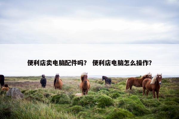 便利店卖电脑配件吗? 便利店电脑怎么操作? 便利店卖电脑配件吗? 便利店电脑怎么操作?