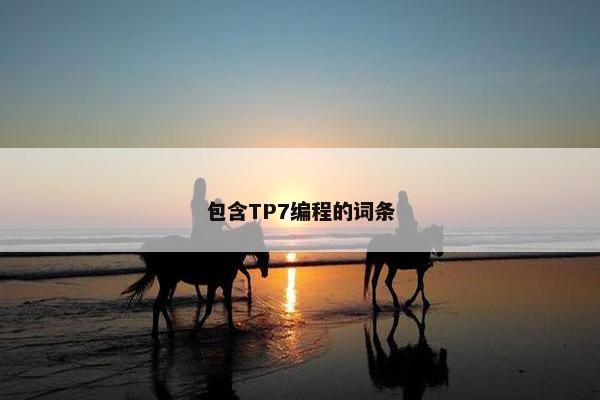 包含TP7编程的词条