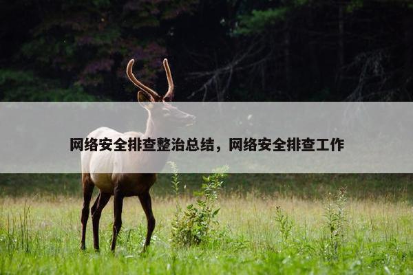 网络安全排查整治总结，网络安全排查工作
