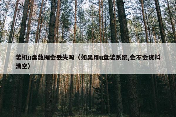 装机u盘数据会丢失吗(如果用u盘装系统,会不会资料清空) 装机u盘数据会丢失吗(如果用u盘装系统,会不会资料清空)