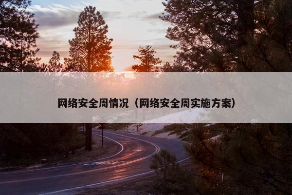 网络安全周情况（网络安全周实施方案）