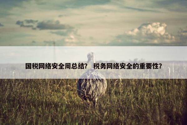 国税网络安全周总结? 税务网络安全的重要性? 国税网络安全周总结? 税务网络安全的重要性?