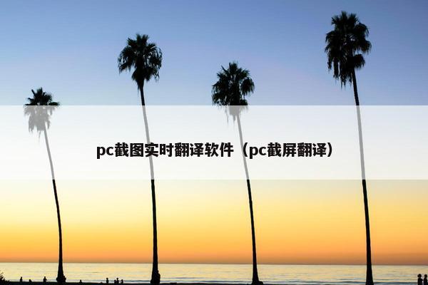 pc截图实时翻译软件（pc截屏翻译）