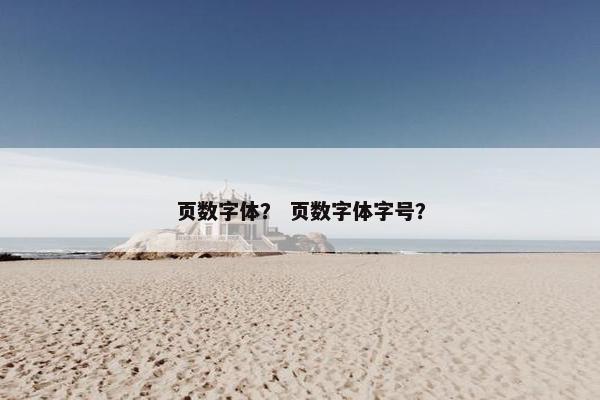 页数字体？ 页数字体字号？