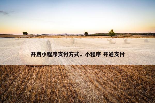 开启小程序支付方式，小程序 开通支付