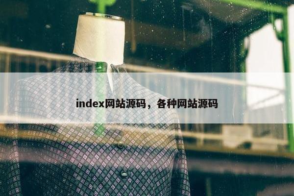index网站源码，各种网站源码