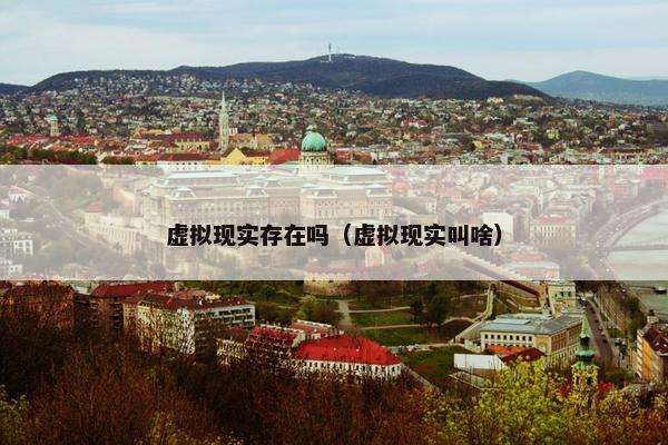 虚拟现实存在吗（虚拟现实叫啥）