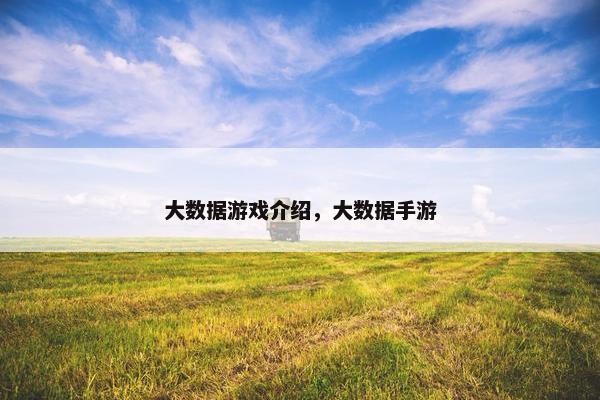 大数据游戏介绍,大数据手游 大数据游戏介绍,大数据手游