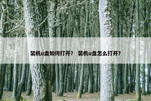 装机u盘如何打开? 装机u盘怎么打开? 装机u盘如何打开? 装机u盘怎么打开?